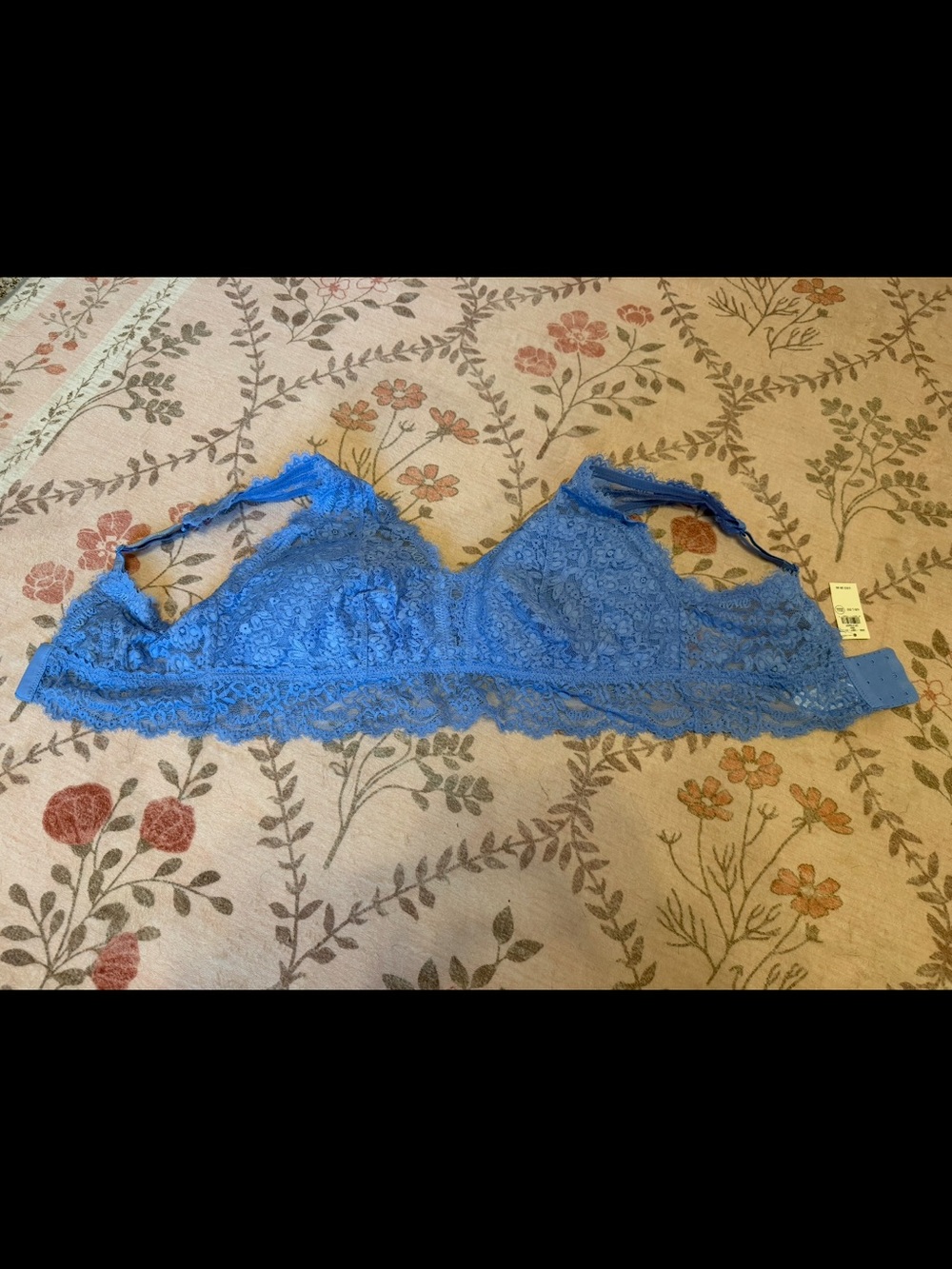 NWT aerie Lace Bralette in Bright Blue